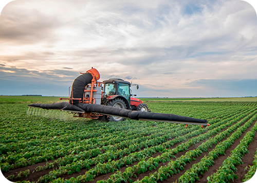 Pellentesque sem sapien, tempor sit amet.